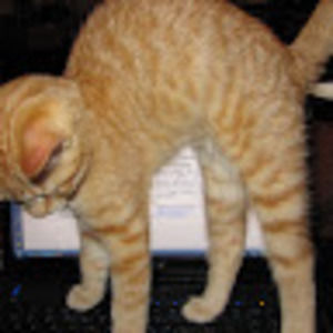 Meet your Posher, Jillian